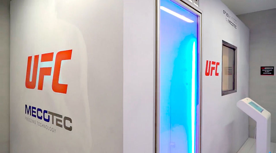 Ultimate Fighting Championship